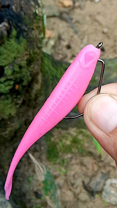 cara pasang umpan softlure #lure #softlure #umpan #umpanjitu #umpanmancing #tips #tutorial