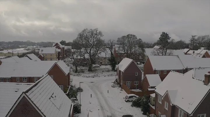 Barley Fields Alton Snow 2021