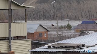 картинка: В объятьях паводковых вод СНТ «Утес»