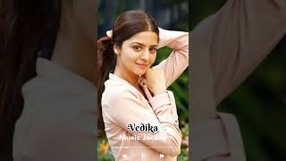 Very Gorgeous Vedhika Beautiful Pictures Saree Photo Shoot