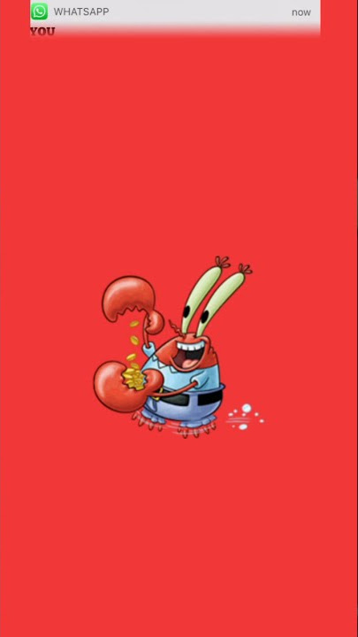 Notifikasi wa lucu//Mr .krabs