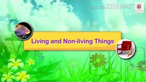 CLASS 3  SCIENCE. LESSON- 1   BY MISS DAISY SHAJU