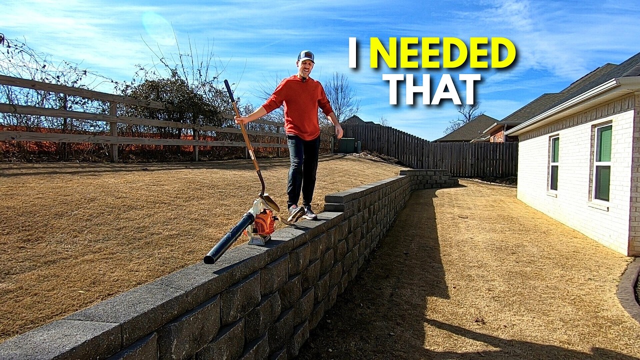 Газон нужен вам, а не ему – вот как можно начать уход за ним заранее.