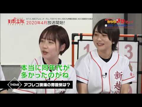TVアニメ「球詠」予習大作戦！新越ナインのきらら野球だよ？＜第八回＞