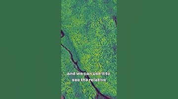 The LiDAR Canopy Height Model  #forestry  #silviculture #forester