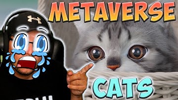 METAVERSE CATS ARE HERE!!! l BLOCKCHAIN NFT CRYPTO GAMING l UNREAL ENGINE 5 VIRTUAL PETS