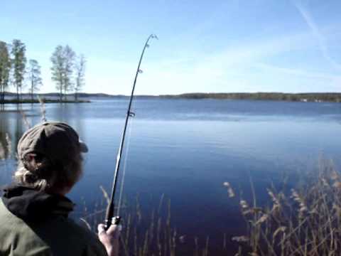 A little Pike fishing film from sweden 30/4 2007 we use living bait en liten fiske film, vi anvÃ¤nder levande mÃ¶rt som bete