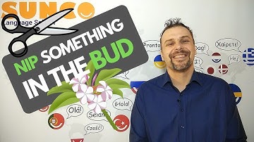 idioms 101 - nip something in the bud