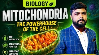 Mitochondria in Hindi | ATP Production & Functions