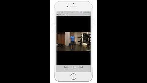 Trainerize workout plan overview