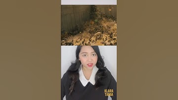 WABAH ZOMBIE MALAH NYANYI ?! | Klara Tania #shorts