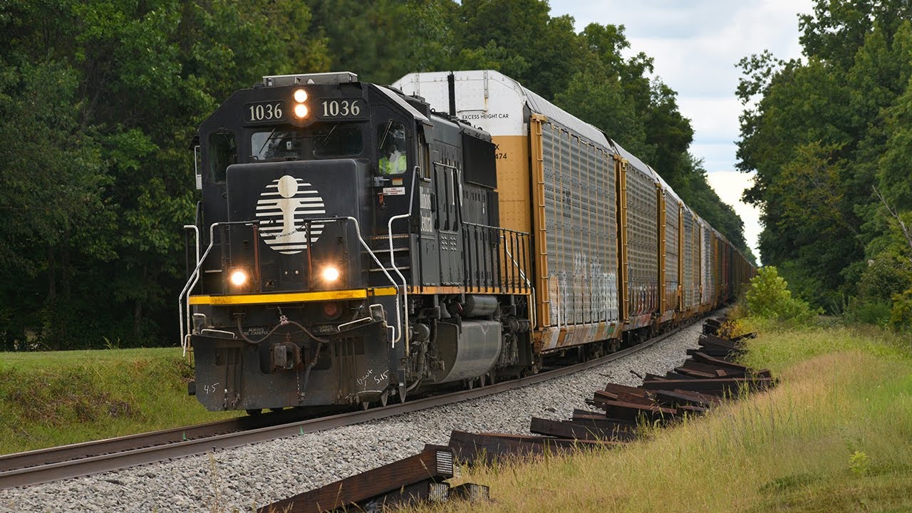 ［最終価格］Diaz Texas lil' Tremolillo 最終価格］Diaz Texas lil' Tremolillo 【公式通販】