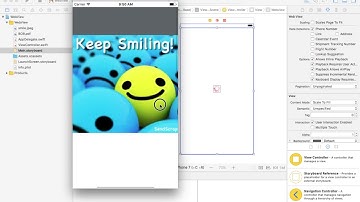 UIWebView : Display Image to UIWebView using xCode 8.2.1 and Swift 3.0
