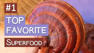 Why This is Our #1 Top Favorite Superfood by SuperfoodEvolution 3,834 views 3 months ago 9 minutes, 31 seconds