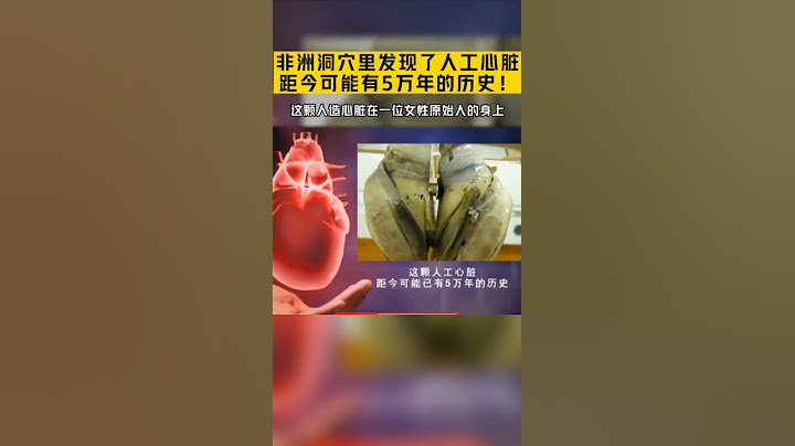 非洲洞穴發現距今5萬年前的人工心臟 - 天天要聞