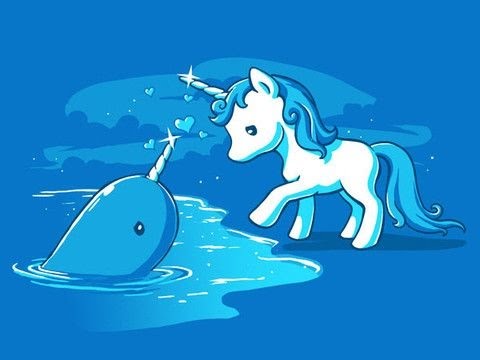 real narwhals my friend