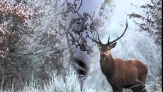 CHOPIN -   WINTER  WALK   ( Chopin     Téli  séta )