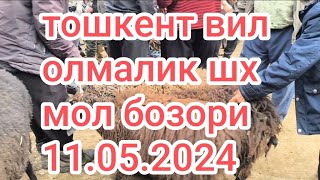 тошкент вил Олмалик Шахар мол бозори койлар катори 11.05.2024