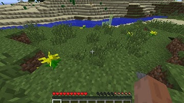 Minecraft -  mouse cursor not centered in inventory fix