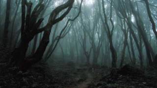 Wyrd-My Ghosts  (W/Lyrics In Sidebar)