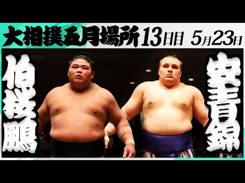 大相撲 伯桜鵬ー安青錦＜令和7年五月場所・13日目＞SUMO - YouTube