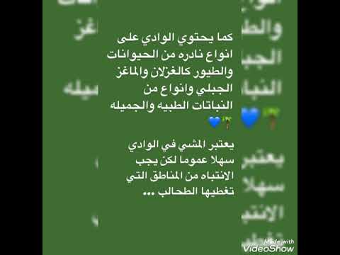 وادي النخيل في الشوبك للطالبة جمانه الرفايعه