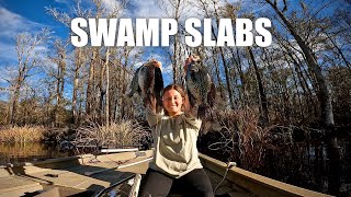 Catching Black Water CRAPPIE (Sac A Lait) in LOUISIANA SWAMP