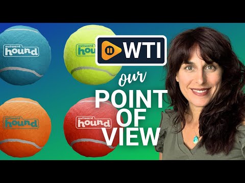 Outward Hound Squeaker Dog Toys | Our Point Of View
