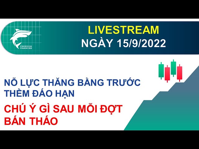 ĐẦU TƯ CHỨNG KHOÁN | NHẬN ĐỊNH THỊ TRƯỜNG NGÀY 15/9/2022 | CHÚ Ý GÌ SAU MỖI ĐỢT BÁN THÁO CP ?