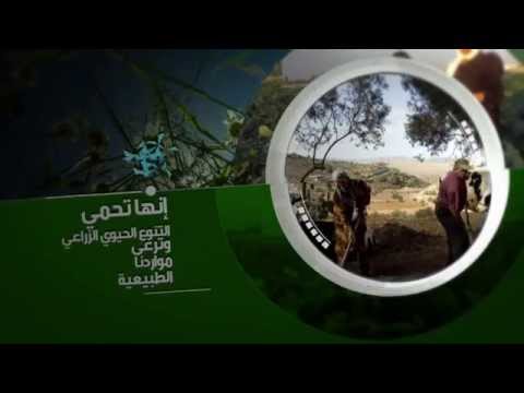 يوم الغذاء العالمي
