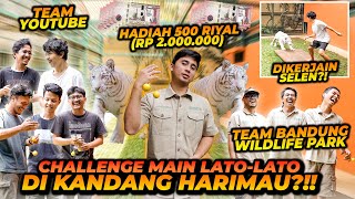 ANTI MAINSTREAM !CHALLENGE MAEN LATO-LATO DIKANDANG HARIMAU HADIAH 2JT RUPIAH!!SIAPA YANG BERHASIL?!