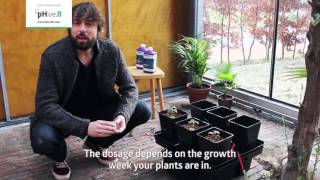 A quick how to use guide to Plagron Hydro Nutrients