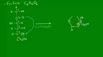 O que é o processo de Gliconeogênese?