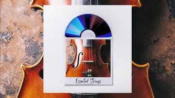 Essential Strings Sample Pack | 48 x String Loops | 6 x Pop String Arrangements (BPM: 80-130)