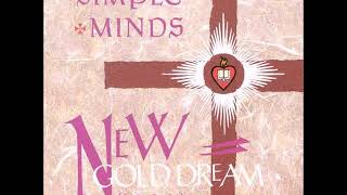 Video thumbnail of "New Gold Dream - New Gold Dream - Simple Minds"