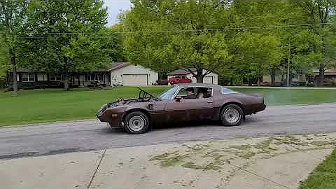 1979 Trans Am  Burnout montage
