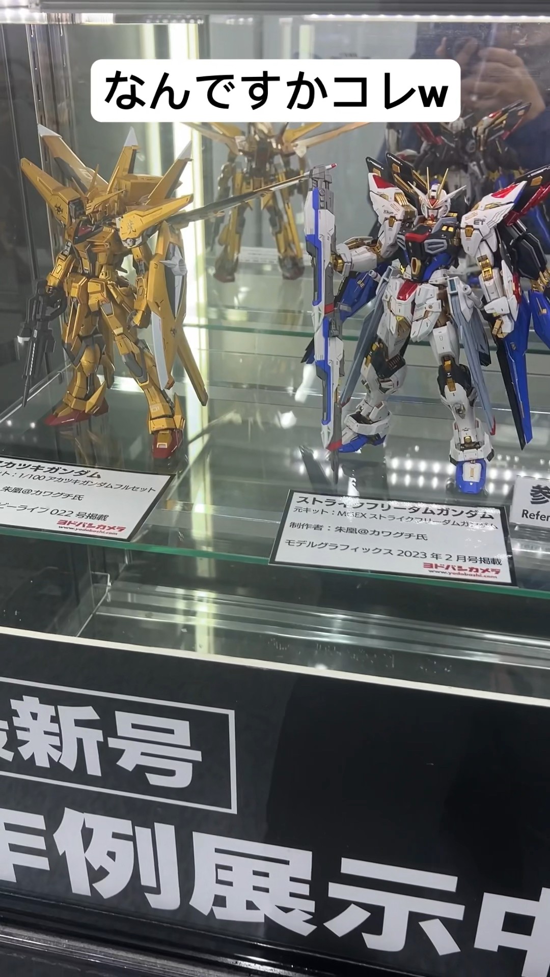 MGEXストライクフリーダムガンダム & RGアカツキガンダム MGEXストライクフリーダムガンダム & RGアカツキガンダム