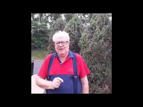MENTE RENOVADA (Romanos