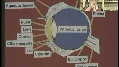 PSYC 1300 LECTURE 14