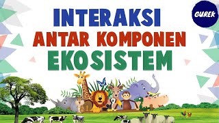 IPA - 4.1 - INTERAKSI KOMPONEN EKOSISTEM