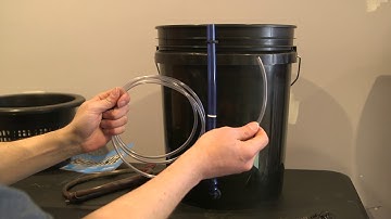 DWC Hydroponics Bucket DIY Build with a built in Drip System