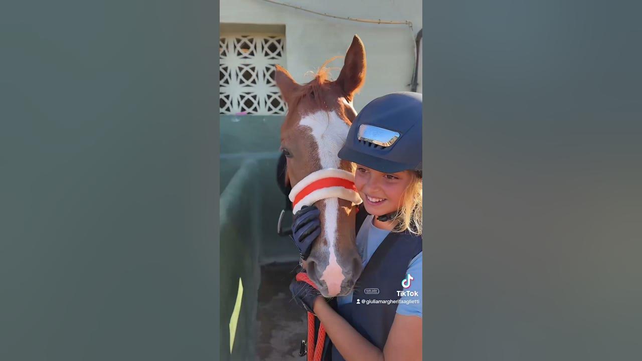 Funny horses falls and fails, show jumping, horse jumping, TikTok