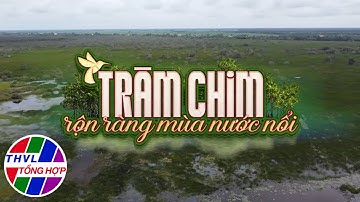 Nhịp sống đồng bằng: Tràm Chim rộn ràng mùa nước nổi