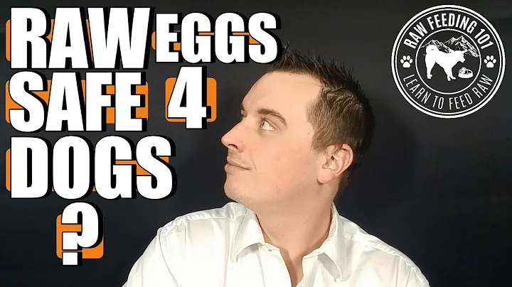 Are Raw Eggs Good For Dogs