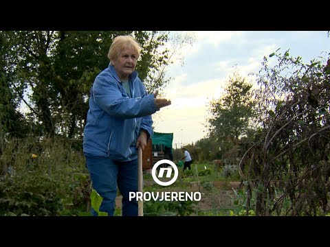 Urbano vrtlarstvo postaje