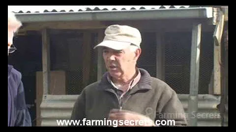 David Davison - Reducing The Food Miles and Your Fertilizers With Worms!
