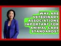 Why Are Veterinary Associations Important for Animal Care Standards? | TeleVet Talk News