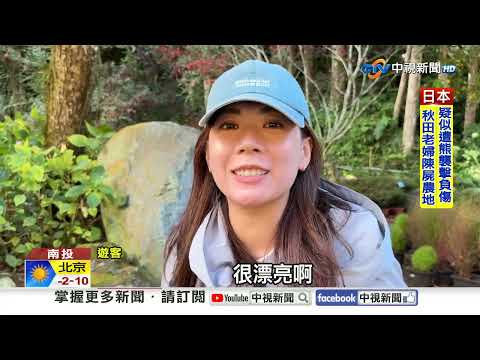 金黃銀杏交織紅葉"秋季限定" 婦爬百岳"誤入支線"失蹤│中視新聞 20251117