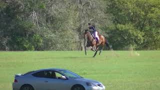 Maddie McElduff Lamondale Graciana OP XC