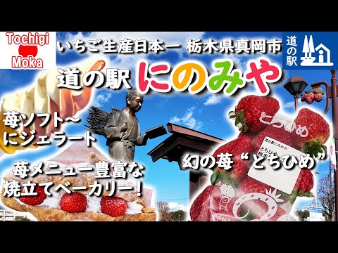 栃木県真岡市🇯🇵道の駅にのみや  いちご博士になれるかも⁉